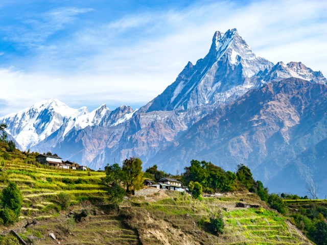 Terraced fields on mountainside in Nepal in the Himalayas