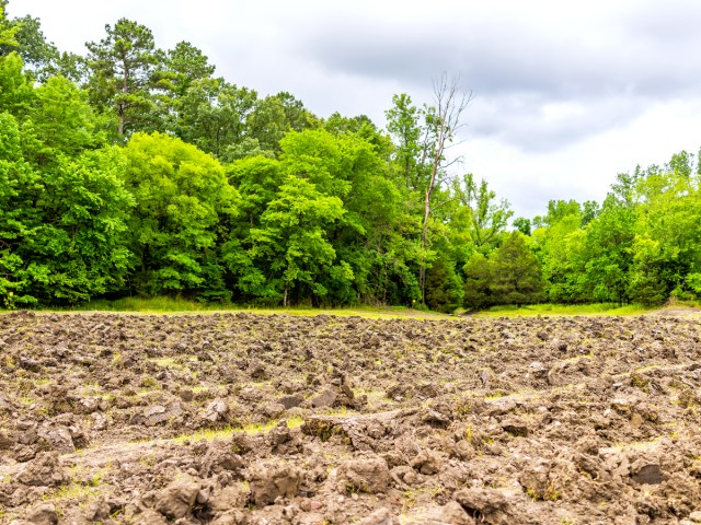 Plowed brown soil in Crater of Diamonds State Park, Arkansas