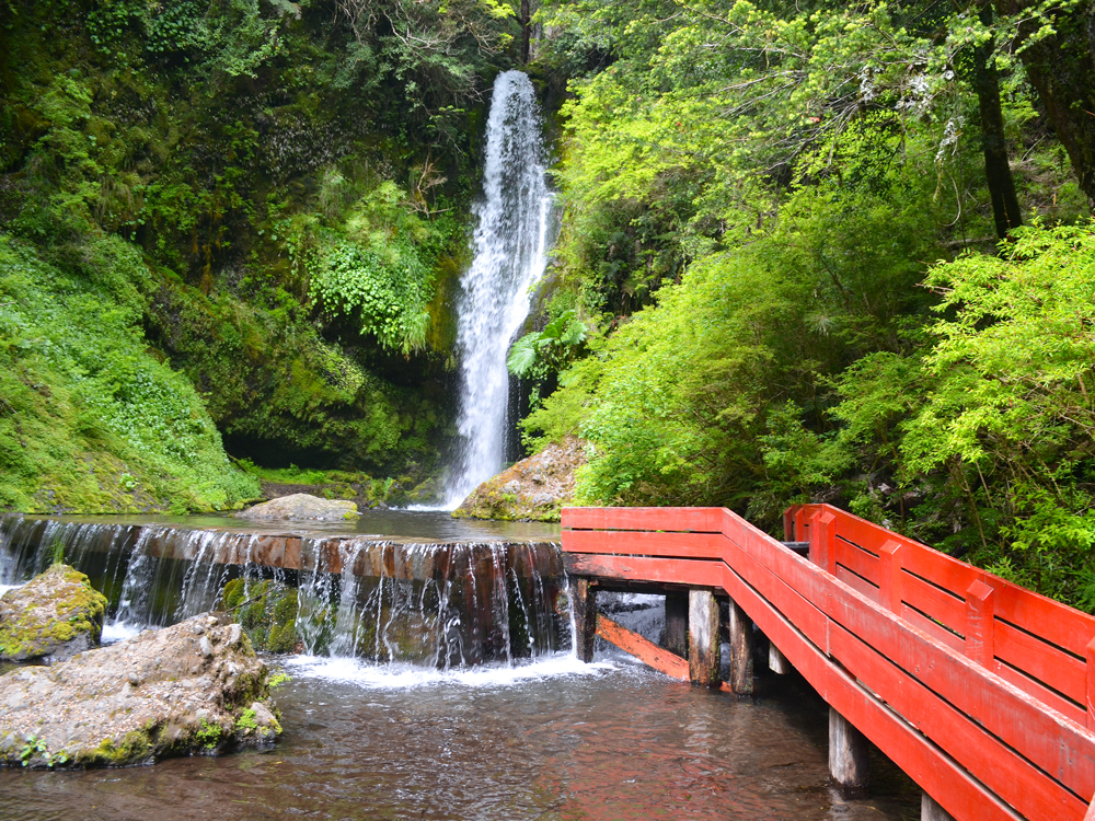 Bridge leading to waterfall at Chile's Termas Geométricas