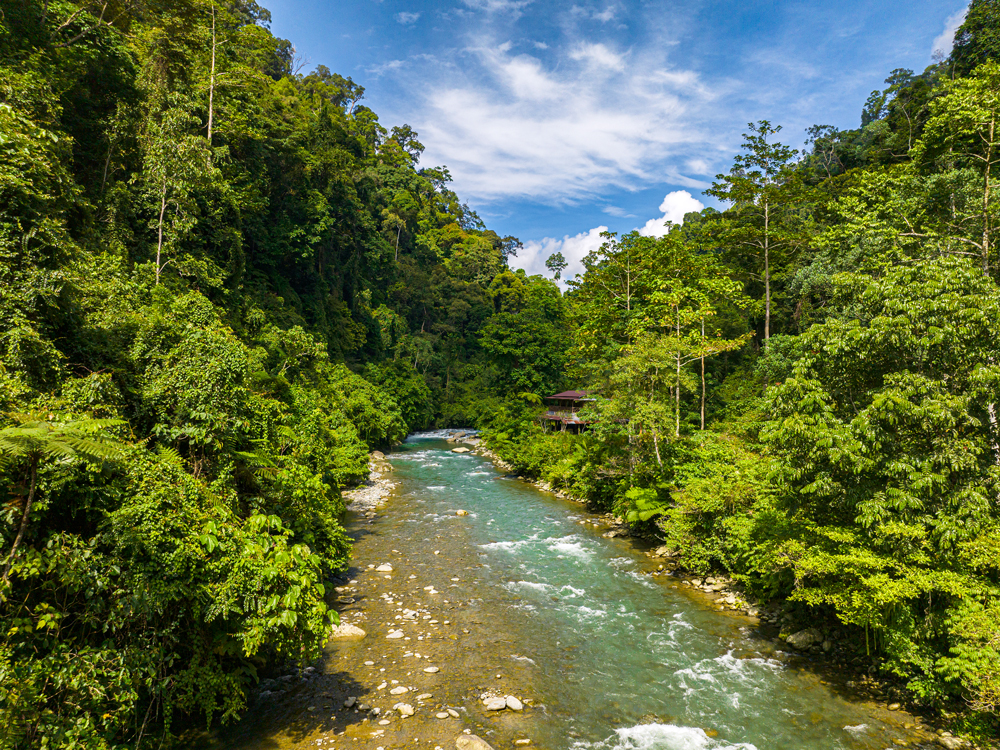 River flowing through jungle on island of Sumatra, Indonesia