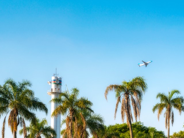 Jet taking off in the distance over palm trees