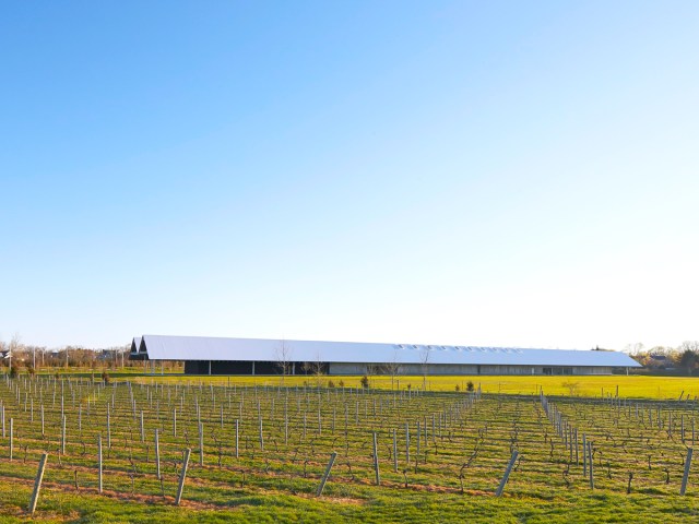 Vineyard and museum in Watermill, New York