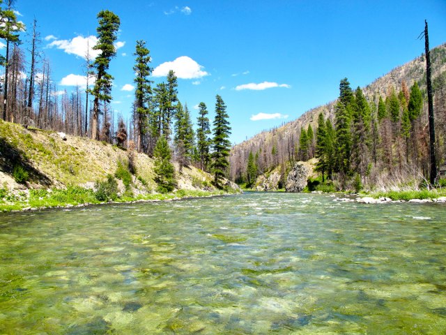 River of No Return Wilderness in Idaho