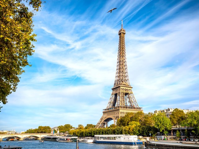 Bird flying over the Eiffel Tower along the Seine River in Paris, France