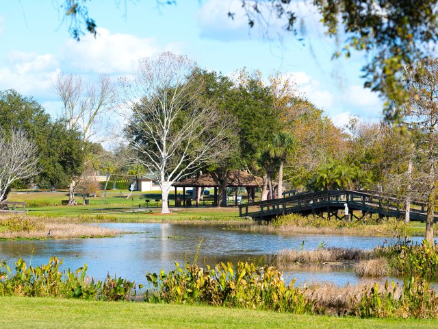 Park and pond in Leesburg, Florida