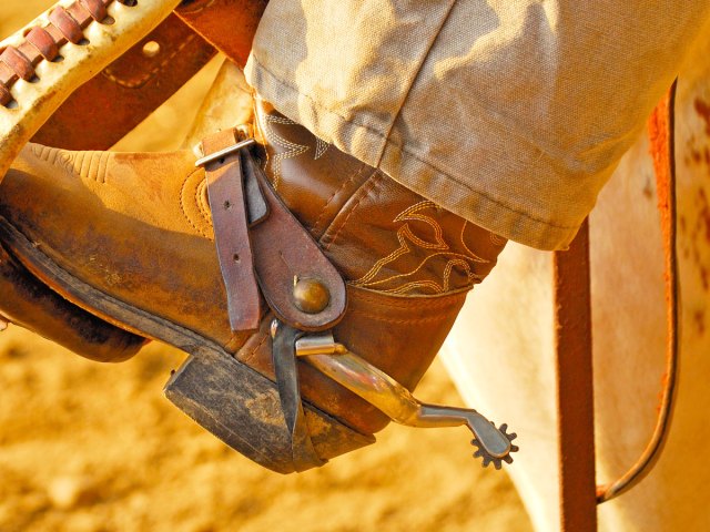 A close-up view of spurs on a cowboy boot