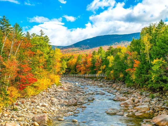 Fall foliage alongside river in Lincoln, New Hampshire