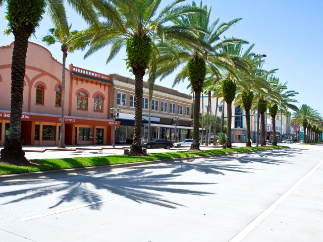 Palm trees on median in Daytona Beach, Florida