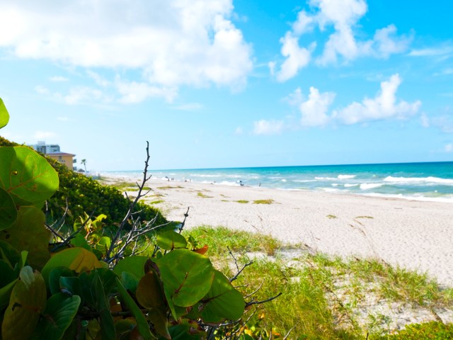 Sandy beach in Melbourne, Florida