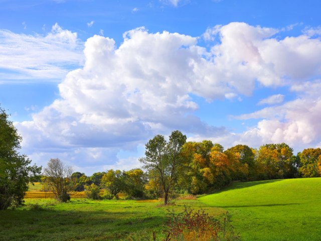 Rolling hills in Minnesota seen in autumn