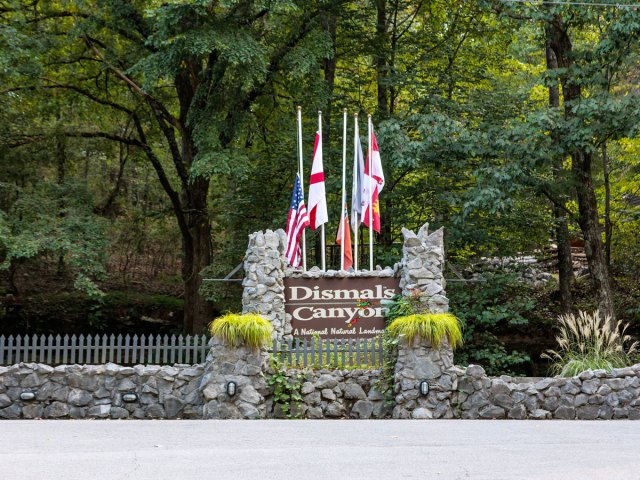 Flags flying above sign for Dismals Canyon in Alabama
