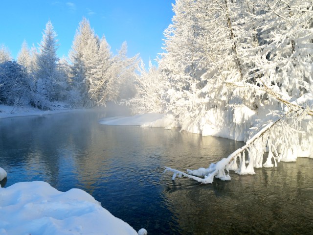 Snow-covered trees alongside river in  Oymyakon, Russia