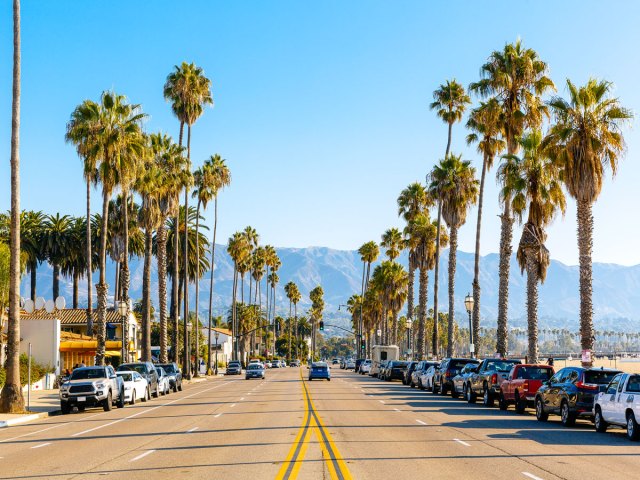 Palm trees along beach in Santa Barbara, California