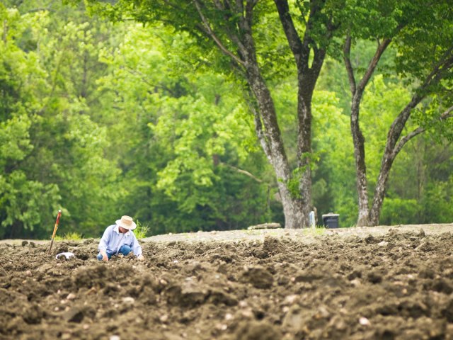 Person searching for diamonds at Crater of Diamonds State Park
