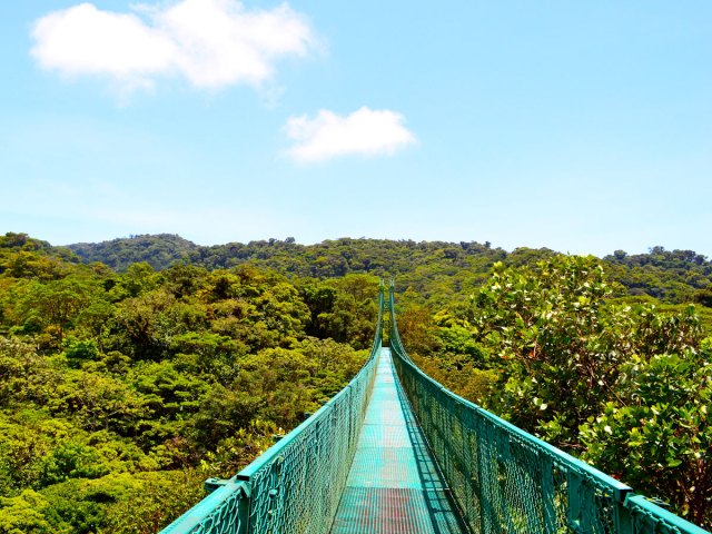 Canopy bridge over Monteverde Cloud Forest in Costa Rica