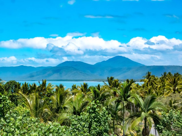 View above treetops of Cape Tribulation in Australia